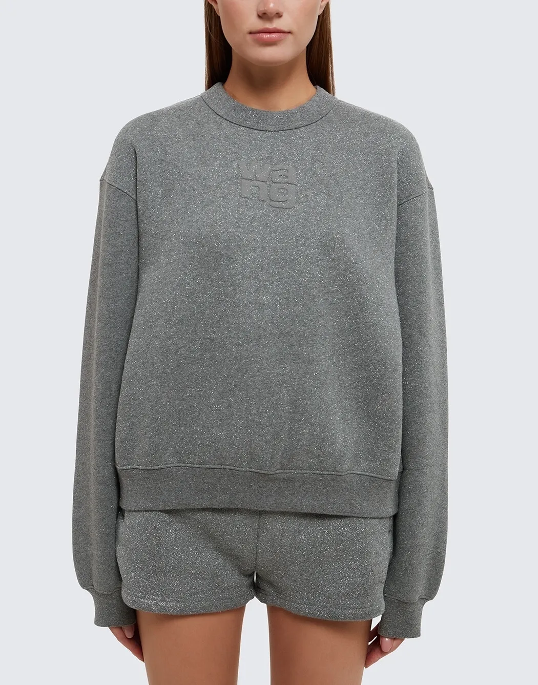 Alexander Wang  |Crew Neck Cotton Logo Hoodies & Sweatshirts