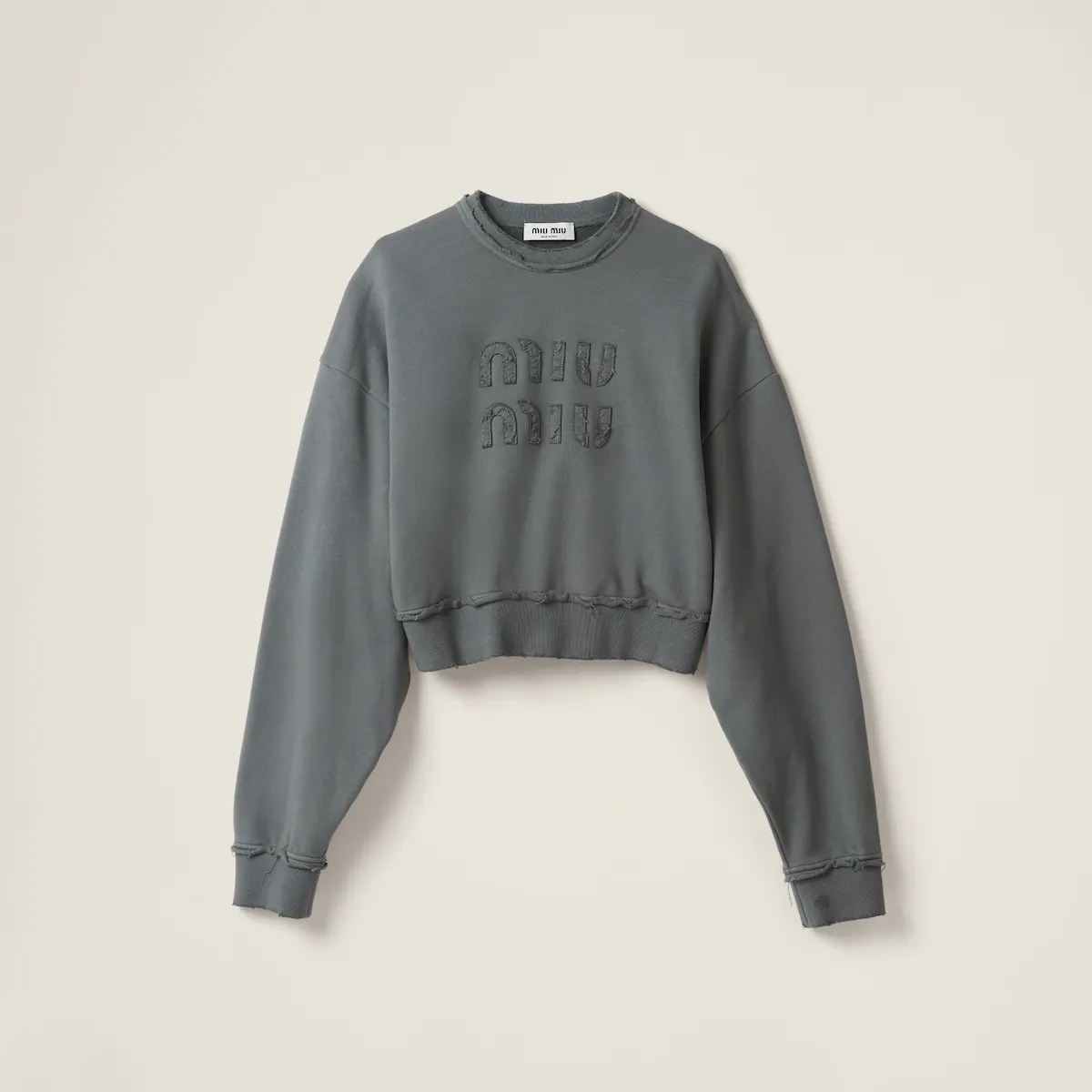 MiuMiu  |Long Sleeves Plain Cotton Logo Hoodies & Sweatshirts